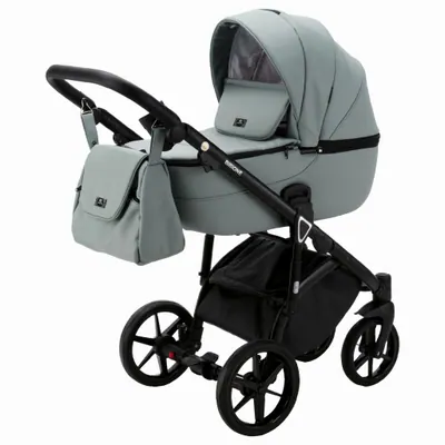 Коляска Adamex Bibione Deluxe 2 в 1, цвет SA-20 (шалфейно-мятный с чёрным)