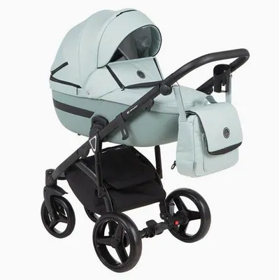 Коляска Adamex Cortina 2 в 1, цвет CT225