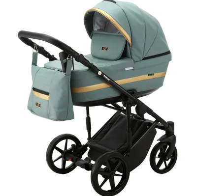 Коляска Adamex Rimini Deluxe 2 в 1, цвет RI233 (приглушённый шалфейно-мятный с золотом)