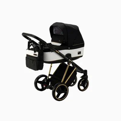 Коляска Adamex Verona Poler 3 в 1, цвет VR420